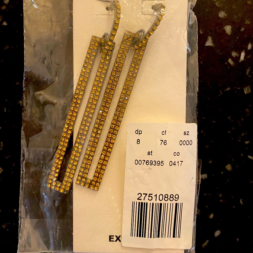 NWT Express Earrings